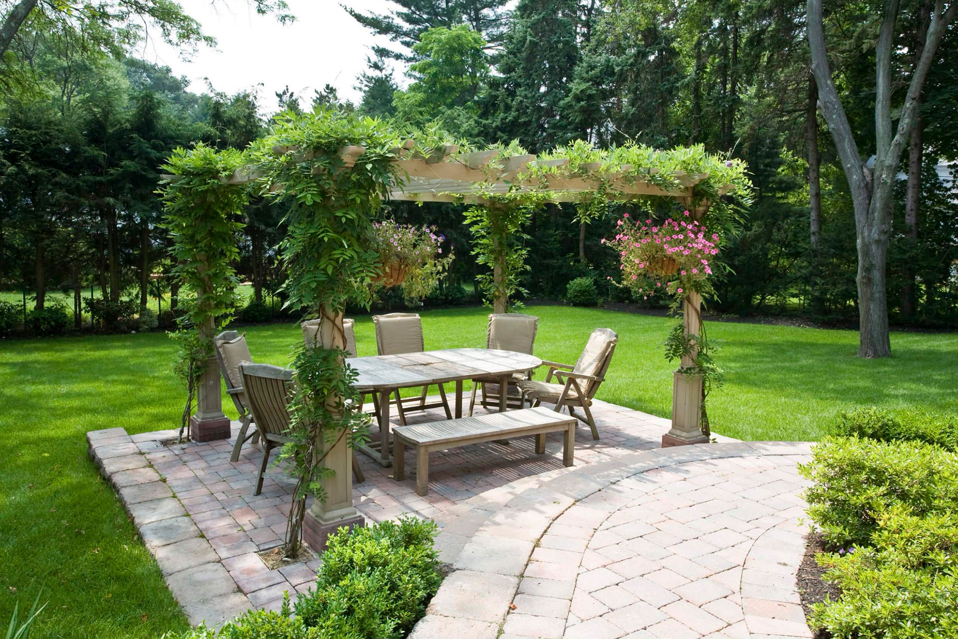 pergola plants guide