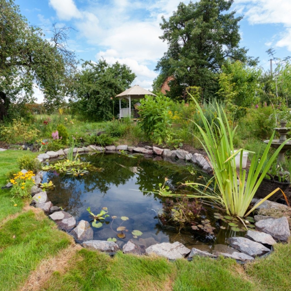 backyard pond ideas 21