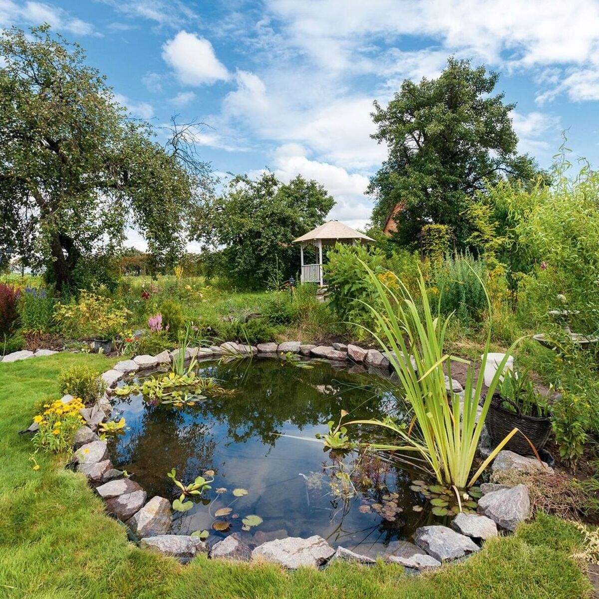 backyard pond ideas 3