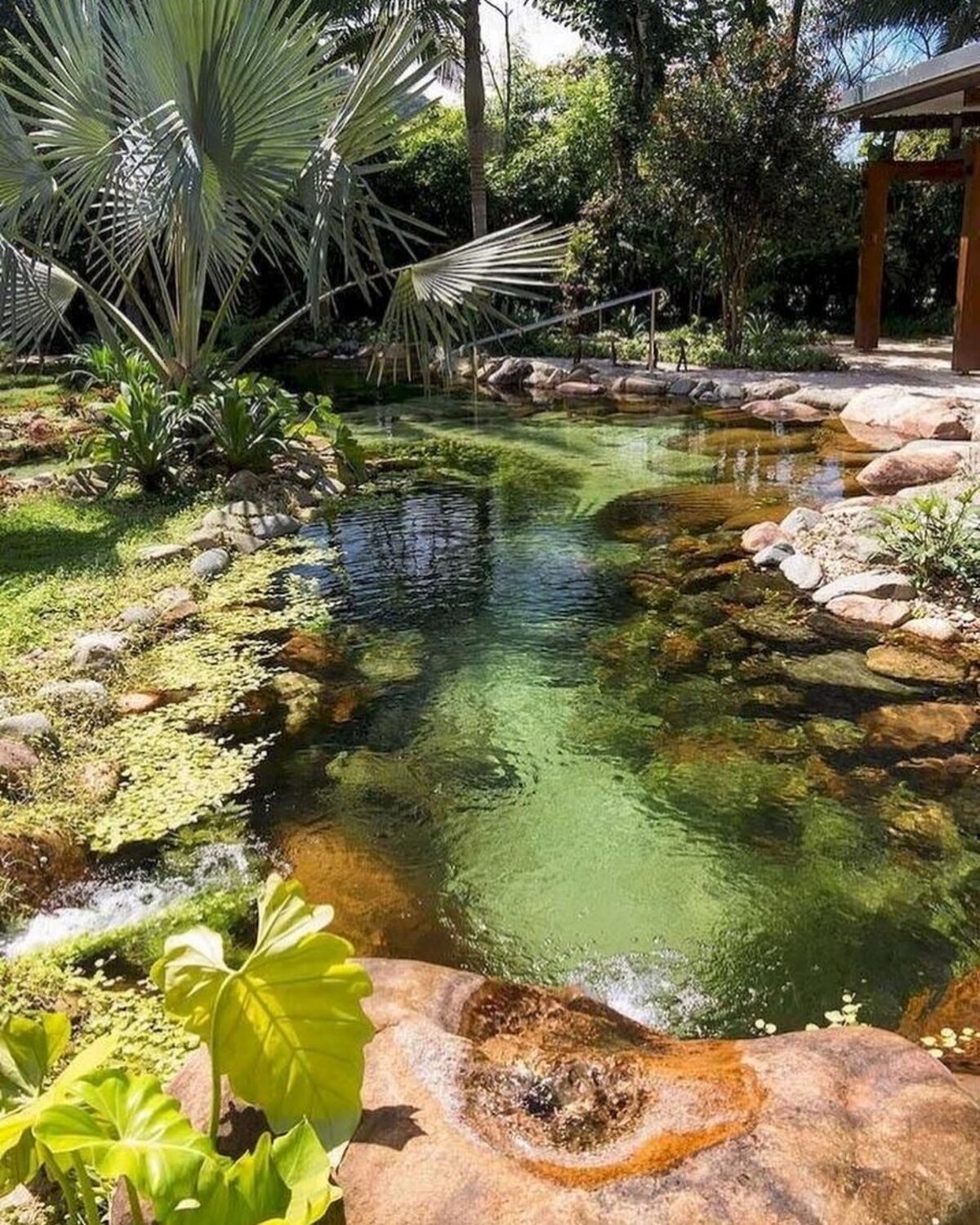 backyard pond ideas 4